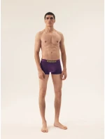 Pánske boxerky 2 Pack 42589 Spin - HENDERSON