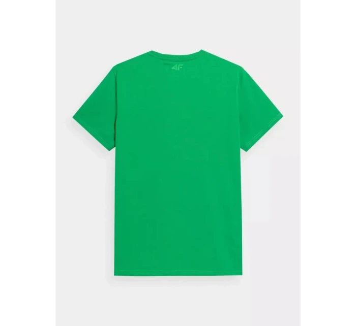Tričko M model 18495642 pánské - 4F Tričko M model 18495642 pánské - 4F