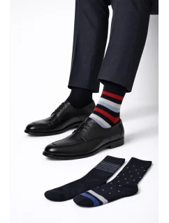 Pánské ponožky Premium model 17624125 A'3 - Cornette