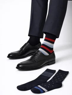 Pánské ponožky Premium model 17624125 A'3 - Cornette