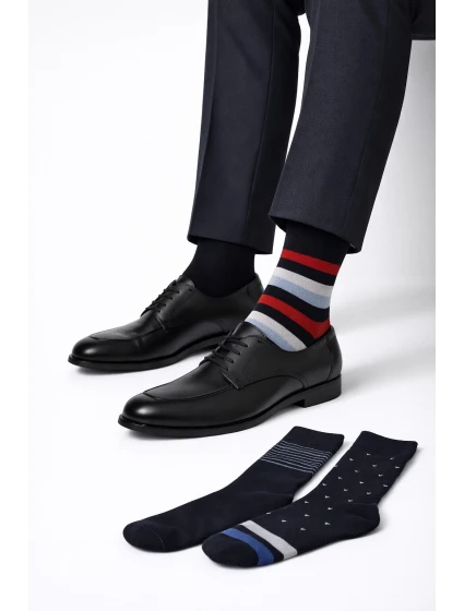 Pánské ponožky Premium model 17624125 A'3 - Cornette