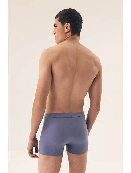 PÁNSKÉ BOXERKY  3PAK SS25 model 20962917 - Henderson