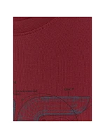 Pánské tričko s potiskem 4F 4FRSS26TTSHM3989-10S