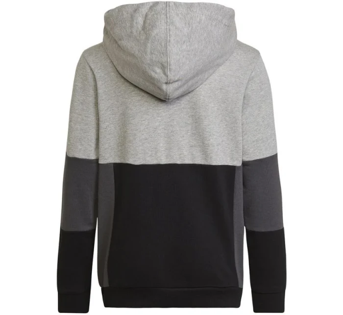 Adidas Colourblock Hoodie Jr HN8563