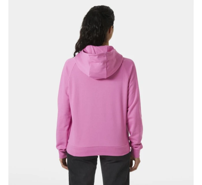Helly Hansen Core Graphic Hoodie W 54239 089