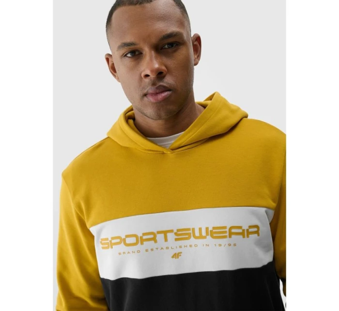 Pánská mikina s kapucí  s prvky model 21907521 - 4F