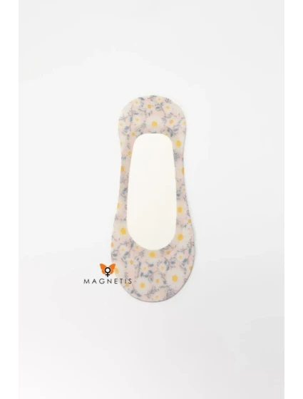 DY241111-DAISIES DY241111-DAISIES