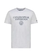 Koszulka  GREY RM MEN 254 model 21358947 - Canadian Peak