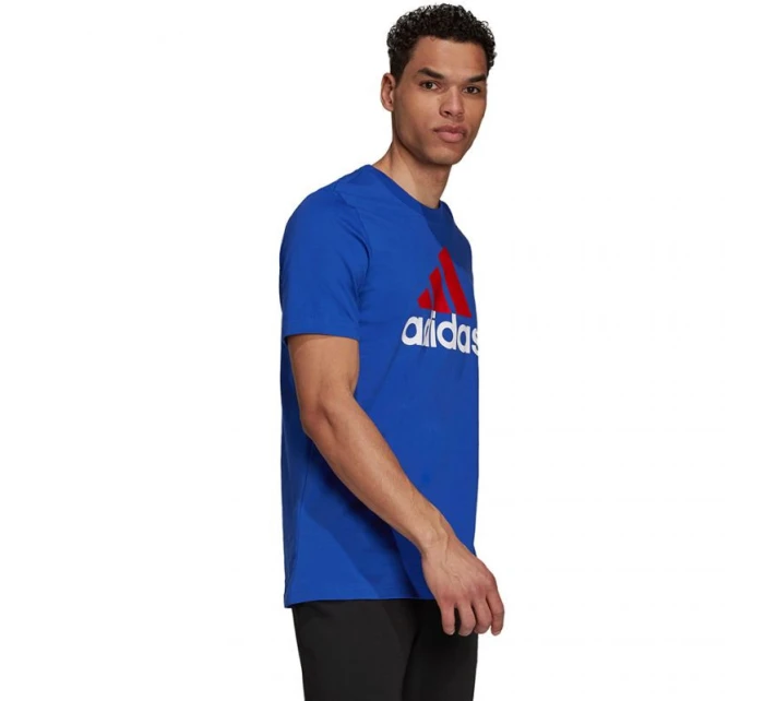 Essentials Big Logo Tee M model 21916141 pánské - ADIDAS
