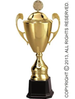 Zlatý kovový hrnček s viečkom