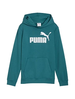 Puma ESS No.1 Logo Hoodie green 684909 41