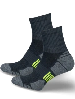 Pánske ponožky ACTIVE 0224.022