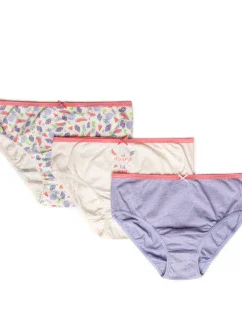 Dámske nohavičky BIKINI L-127BIB-14 3-pack