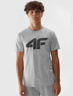 Tričko M model 19658367 27M - 4F