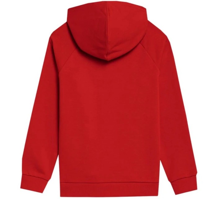 Chlapčenská mikina 4FJSS23TSWSM220 62S - 4F Chlapčenská mikina 4FJSS23TSWSM220 62S - 4F