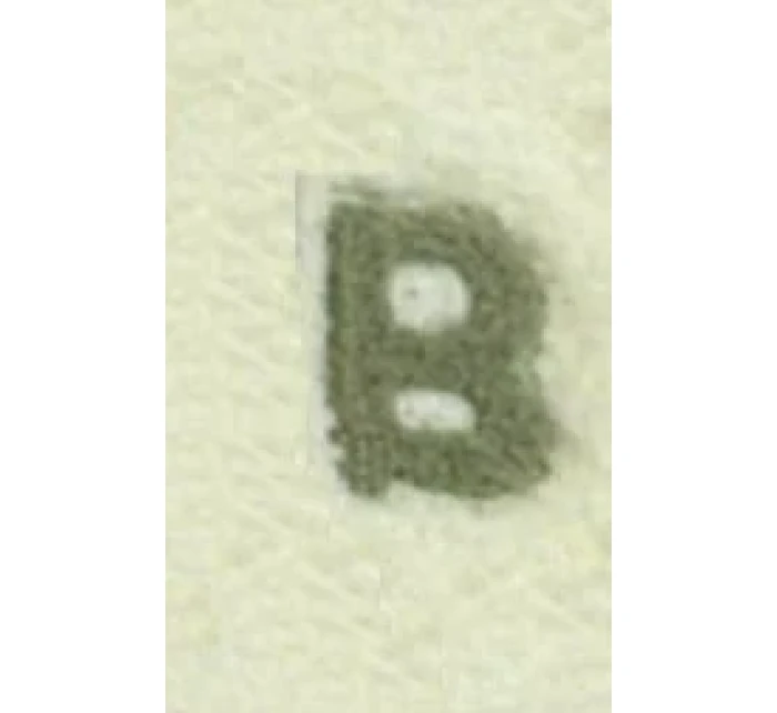 Dámské ponožky model 20541436 - Magnetis