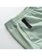 Pánské šortky model 21357253 - Iguana