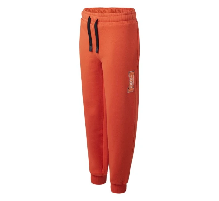 Spodnie TB model 21360585 - Iguana