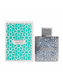 pánský parfém 100 ml model 21915693 - Rayhaan