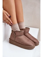 Dámské Sněhule Na Platformě model 21677079 Taupe - D.Franklin