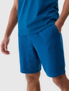 Pánské kraťasy 4F