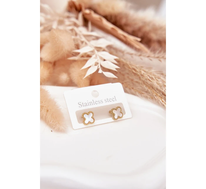 Náušnice z nerezové oceli model 21772378 - Boto