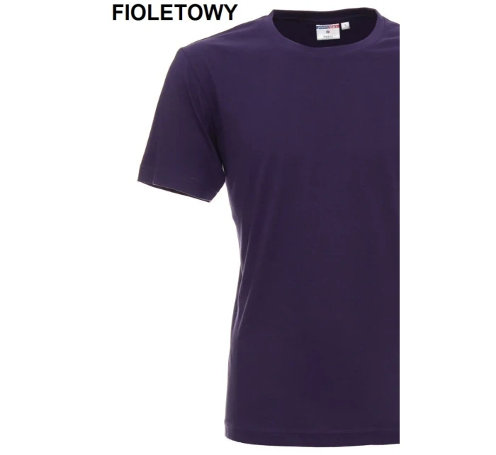 Pánské tričko Tshirt Heavy model 16110509 - PROMOSTARS