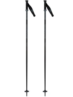 Lyžařské hole  Grey model 21454346 - Rossignol