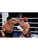 Rukavice Wolf L 10 oz 10052310OZ - Yakimasport Rukavice Wolf L 10 oz 10052310OZ - Yakimasport