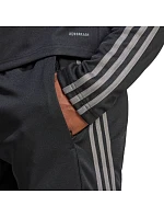 Kalhoty Squadra 25 Training M model 20877790 - ADIDAS Kalhoty Squadra 25 Training M model 20877790 - ADIDAS