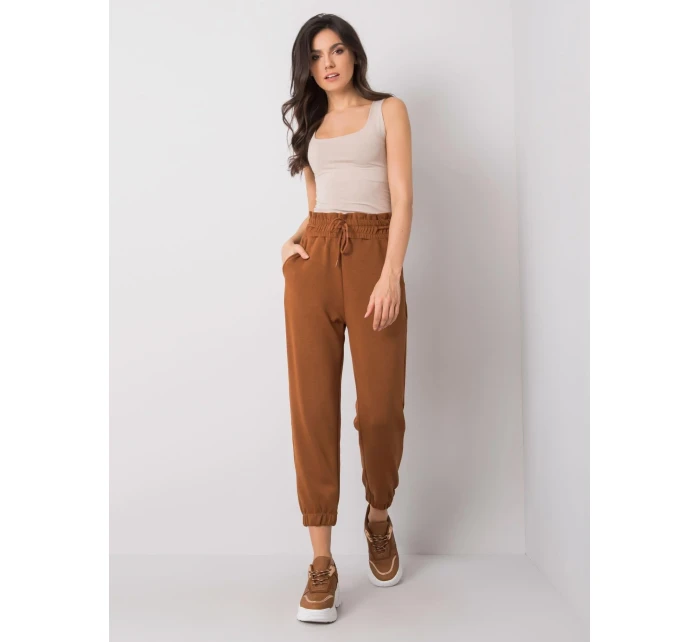 Tepláky 217 DR 25472.73 hnedá