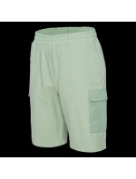 Pánské šortky model 21357253 - Iguana