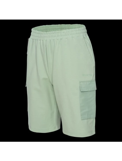 Pánské šortky model 21357253 - Iguana