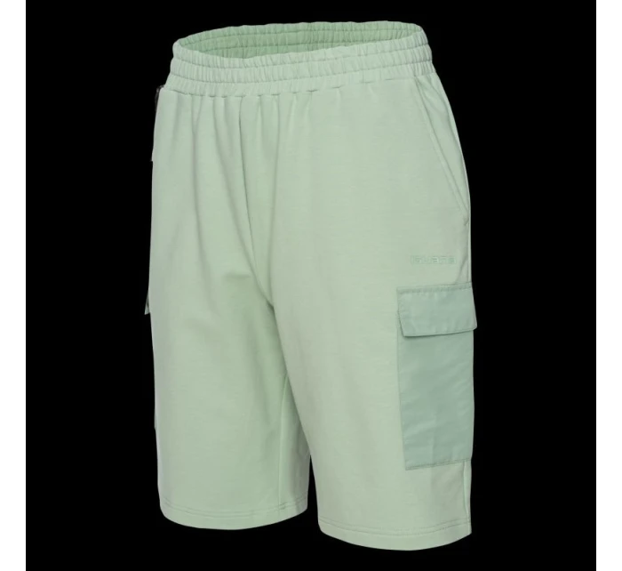 Pánské šortky model 21357253 - Iguana