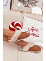 Dámské pantofle s kožíškem Camel Delissa