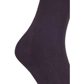 Pánske ponožky 09 brown - Skarpol