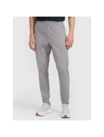 Spodnie męskie model 21460734 - 4F Spodnie męskie model 21460734 - 4F