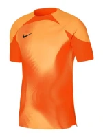 Pánske brankárske tričko Dri-FIT ADV Gardien 4 M DH7760-819 - Nike