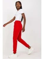 Teplákové nohavice model 169723 BFG Teplákové nohavice model 169723 BFG