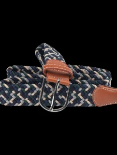 model 21352682 - Iguana