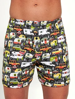 Pánské trenýrky model 22127006 - Cornette