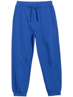 Nohavice 4F CAS Jr 4FJWSS25TTROM0965 36S