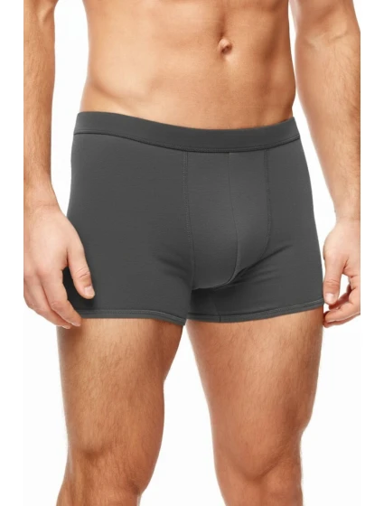 PÁNSKÉ BOXERKY PREMIUM model 21948735 - Noviti