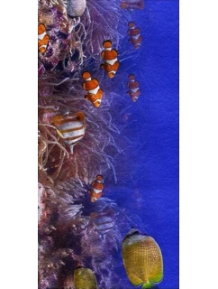 Plážový ručník Luna model 20965424 - Cotton World