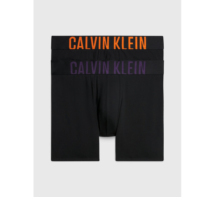 Pánske boxerky 000NB2603A GXL black - Calvin Klein