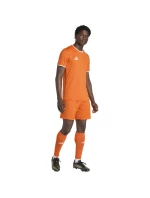 Adidas Entrada 26 JSY tričko JZ2509 Adidas Entrada 26 JSY tričko JZ2509