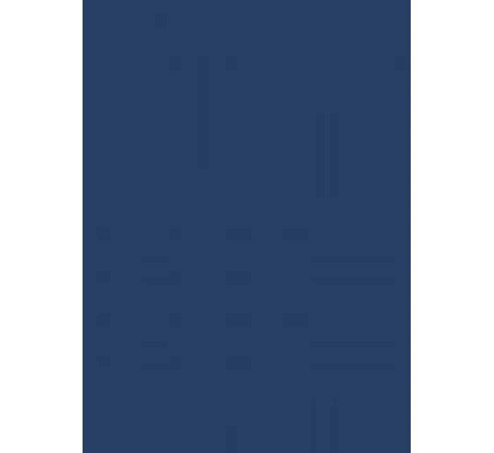 Pánske slipy Gatta Cotton Slip 41547 Pánske slipy Gatta Cotton Slip 41547