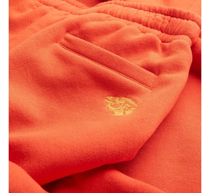 Spodnie TB model 21360585 - Iguana