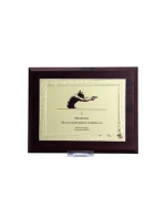 Plastový diplom s vygravírovaným kovovým štítkom