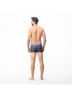 Pánske plavky Stripe M 92800076209 - Aquawave